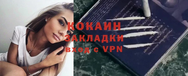 ПСИЛОЦИБИНОВЫЕ ГРИБЫ Горняк