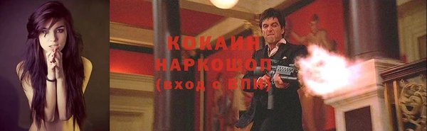 ПСИЛОЦИБИНОВЫЕ ГРИБЫ Горняк