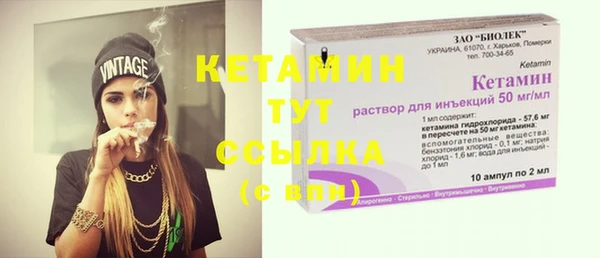 ПСИЛОЦИБИНОВЫЕ ГРИБЫ Горняк
