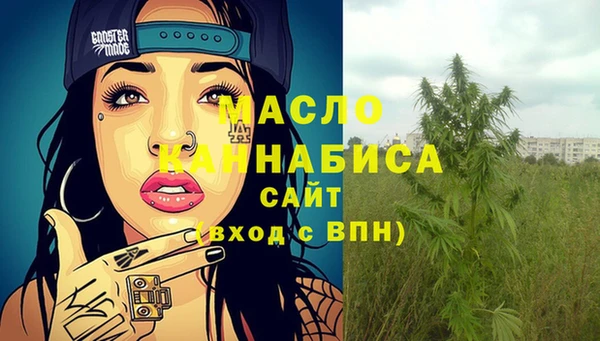МДПВ Гусев