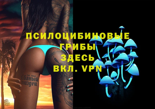 МДПВ Гусев