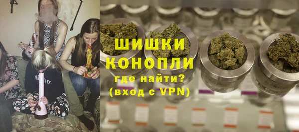 МДПВ Гусев