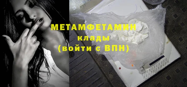 ПСИЛОЦИБИНОВЫЕ ГРИБЫ Горняк