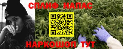 индика Лесосибирск