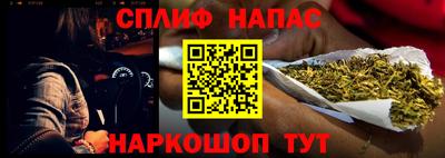индика Лесосибирск