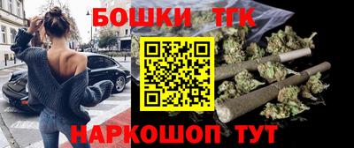 индика Лесосибирск