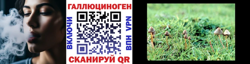Псилоцибиновые грибы мухоморы Дмитров