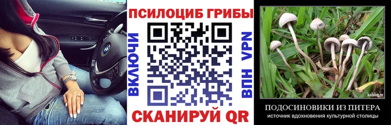 mega tor  Дмитров  Галлюциногенные грибы мухоморы 
