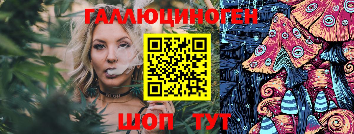 Псилоцибиновые грибы Cubensis Дмитров