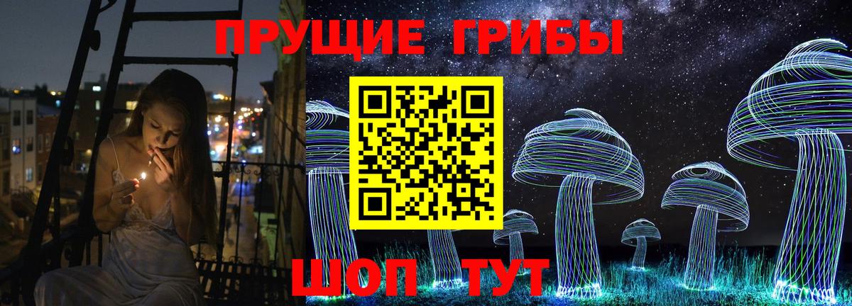 Псилоцибиновые грибы мухоморы  Вход с VPN  купить закладку  Дмитров 